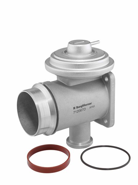 BORGWARNER 712067D Egr-Valve Pneumatic Bmw Various 3.0 2002-2010