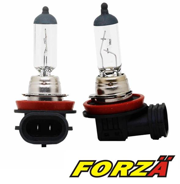 FORZA XP12H16 Halogen Ampül H - 16 12v.55w 30 Fazla