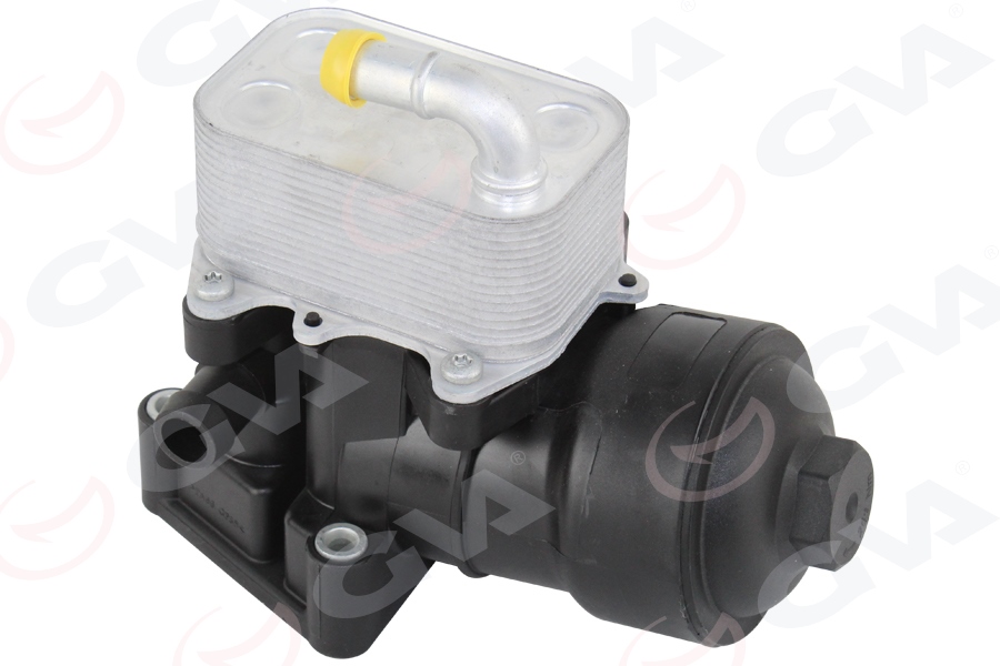 BSG 11-507-003 Yag Filtre Kütügü Sogutuculu A6