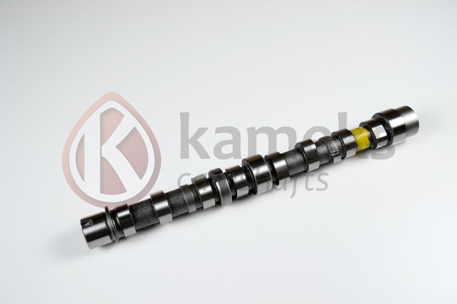 KAMEKS 10412 Eksantrik Mili Emme Bipper 10> Nemo 10>Doblo 10> Egea 16> Punto 12> 500 L 12> 95bg 1.3 Jtd Euro5 Döküm