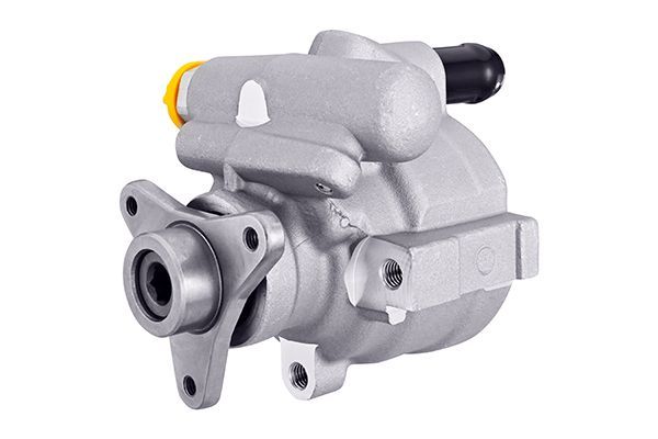 RN-DP-002 Direksiyon Pompasi Renault Clio Kango 1.9 Kasnaksiz
