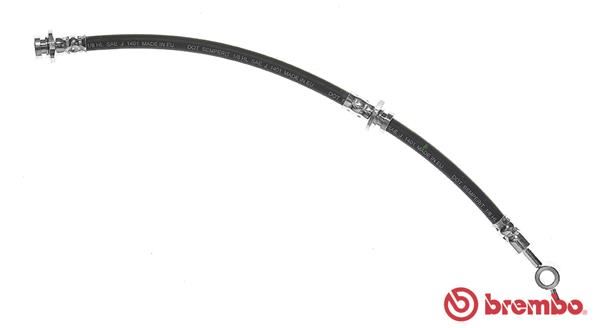 BREMBO T56148 Frem Hortumu Nissan Primera P11 06/96-12/01-Nissan Primera Hatchback P11 06/96-07/02-Nissan Prim
