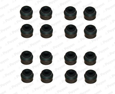 PAYEN HR814 Subap Lastigi Mercedes Om699 W470 Renault Master Ii 06>Master Iii 10> Trafic Ii 06>Laguna Iii 07>15 Navara 15> 2.0dci M9r 2.3dci M9t