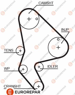 EUROREPAR 1633127580 Triger Kayişi 141x254 Peugeot Partner Berl 206 306 307 C4 C5 Jumper Jump Xsara Scudo 2.0hdi Ct987