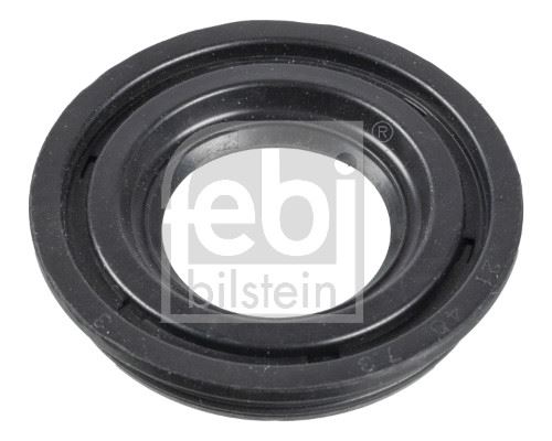 FEBI 174029 Enjektor Kece Contasi Boxer Iii Jumper Iii 22dt Puma 2.2hdi 06>11 Ducato Iii 2.2jtd V347 2.2tdci 2.4 Tdci 06>11