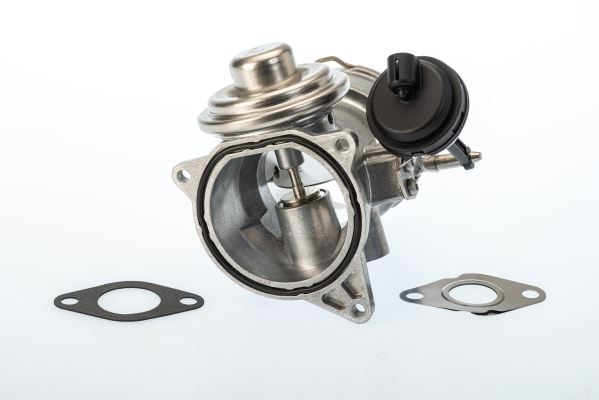 BORGWARNER 7650D Egr Valfi Vw Touareg 2.5 R5 Tdi 03-10
