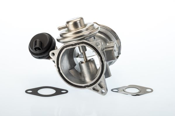 BORGWARNER 7649D Egr Valfi Vw Transporter T5-Mutivan V-Touareg 2.5 Tdi 03-09