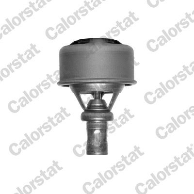 VERNET TH4495.89 Termostat R21 Cncrd-Clio I 90-98 -R11-R19 92-95 -Espace Ii 91-96 89c V1211 Th4324.89