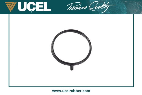 PSA-93168013 O-Ring