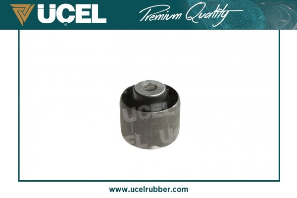 UCEL S61139 Salincak Burcu T5 04-> Buyuk