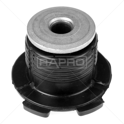 RAP R54487 Motor Besik Burcu  R21
