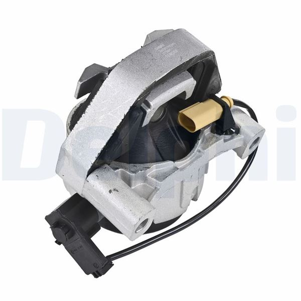 DELPHI TEM289 Motor Takozu