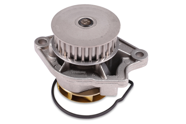 GK 980137 Water Pump - Corr. 030.121.008c