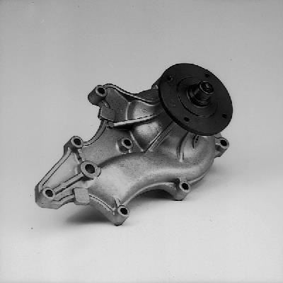 GK 981538 Water Pump