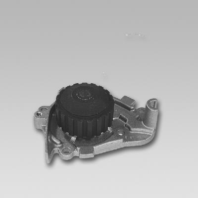 GK 981739 Water Pump - Corr. 21010-01b25