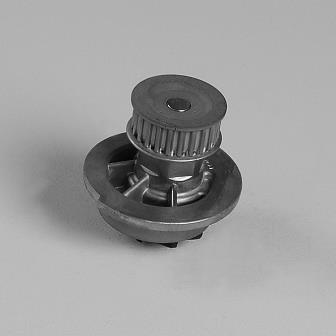 GK 981794 Water Pump