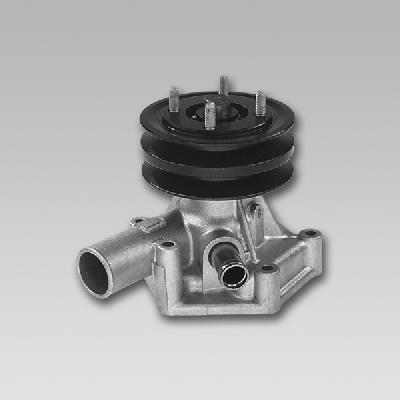 GK 981821 Water Pump