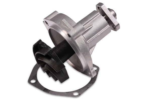 GK 983620 Water Pump - Corr. 2101-1307010-00