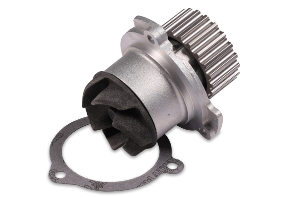 GK 983622 Water Pump - Corr. 2108-1307010