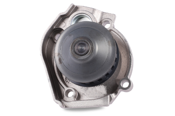 GK 985094 Water Pump - Corr. 71713727