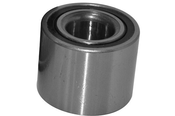 GDY 110163 Porya Rulmani Arka  W168