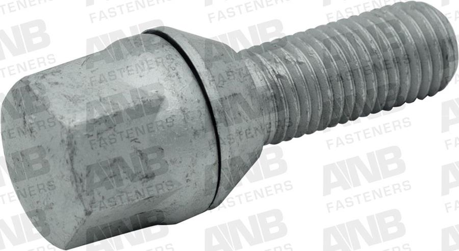 ANB B19DR125025FG 19dr1250fg Bijon Civatasi Flanşli Geomet M12x1.50x25