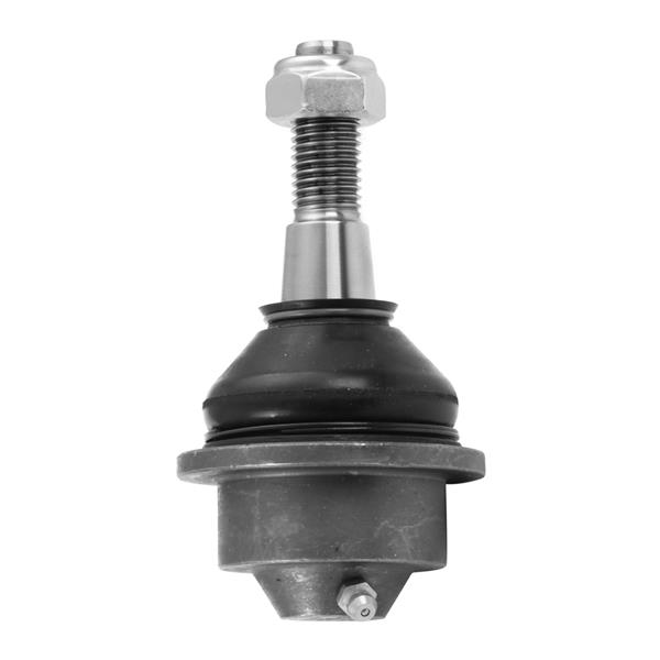 AYD 07381 Gm Rotil