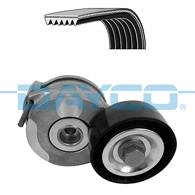 1617025580 V Kayis Seti  Traveller