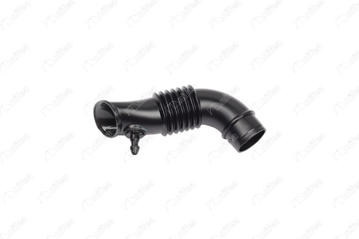 BSG 25-726-001 Hava Filtre Hortumu  Linea