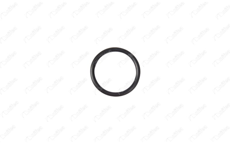 PSA-0365.34 Emme Manifold  Oringi Partner Berlingo 1.9 Dw8