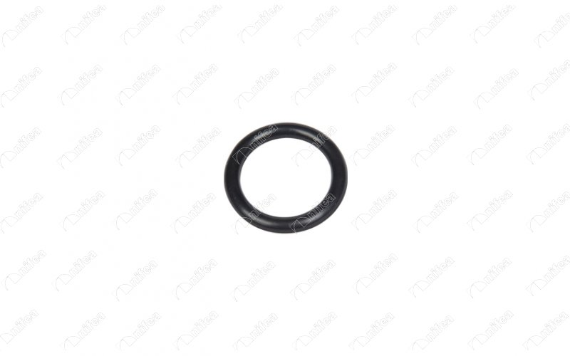 IBR 19778 Manifold Contasi Emme  Fiesta/206/C3