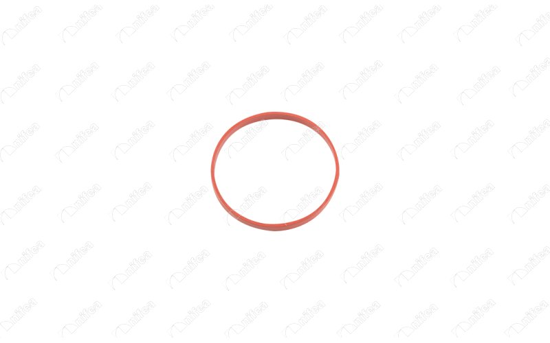 NIFEA 35281 Emme Manifold Contasi Bmw B37 B38 B47 F20 F21 F22 F40 F70 F23 F44 F45 F46 F74 F30 F31 F34 F35 G20 G2 1 G28 F32 F33 F36 G22 G23 G26 F10 F11 G30 G31 G32 G11 G12 F48 F49 F25 G01 F26 G02 F15 G05