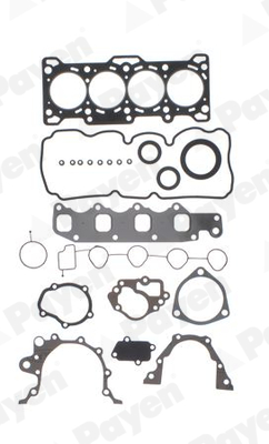 PAYEN FG7990 Opel Full Takim Conta