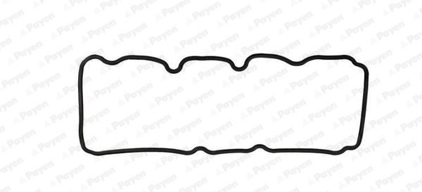PAYEN JM5302 Opel Külbütör Kapak Contasi