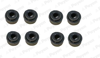 PAYEN HR342 Opel Subap Lastiği Takim