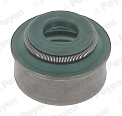 PAYEN PA565 Opel Supap Gaydi