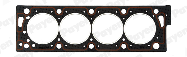 PAYEN AD5100 Peugeot Silindir Kapak Contasi