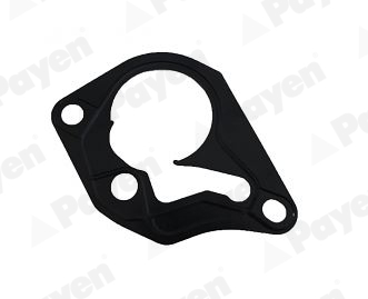 PAYEN KK5643 Fren Vakum Pompa Contasi Clio Ii-Iii-Iv Symbol-Captur-Megane I-Ii-Iii-Iv Fluence-Kadjar-Kangoo Ii-Ii Talisman- Laguna Ii-Iii-Logan I-Ii-Sandero I-Ii-Lodgy-Dokker-Duster-Master 1.5 Dci K9k 1.9dci F9q