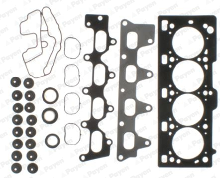 PAYEN CC5110 Renault Üst Takim Contasi