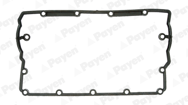 PAYEN JM5203 Ust Kapak Contasi Vw-Skoda-Seat-Audi Caddy-T5-Passat-A3-Leon Avf-Axb-Bjb-Bls 1.9 Tdi 01>