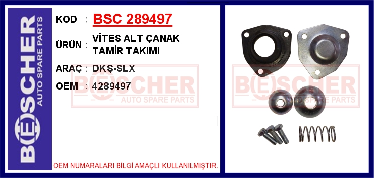 BSC 289497 Vites Alt Çanak Tamir Takimi Dkş-Slx