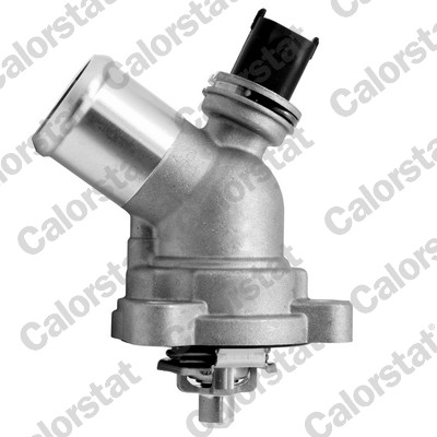 PSA-25199831 Termostat