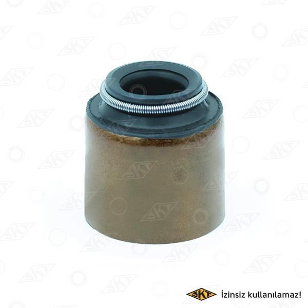 SKT 4S-020-V Supap