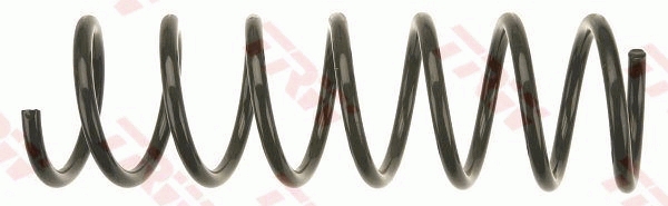 TRW JCS1016 Helezon Yayi Arka Ford Focus 04>