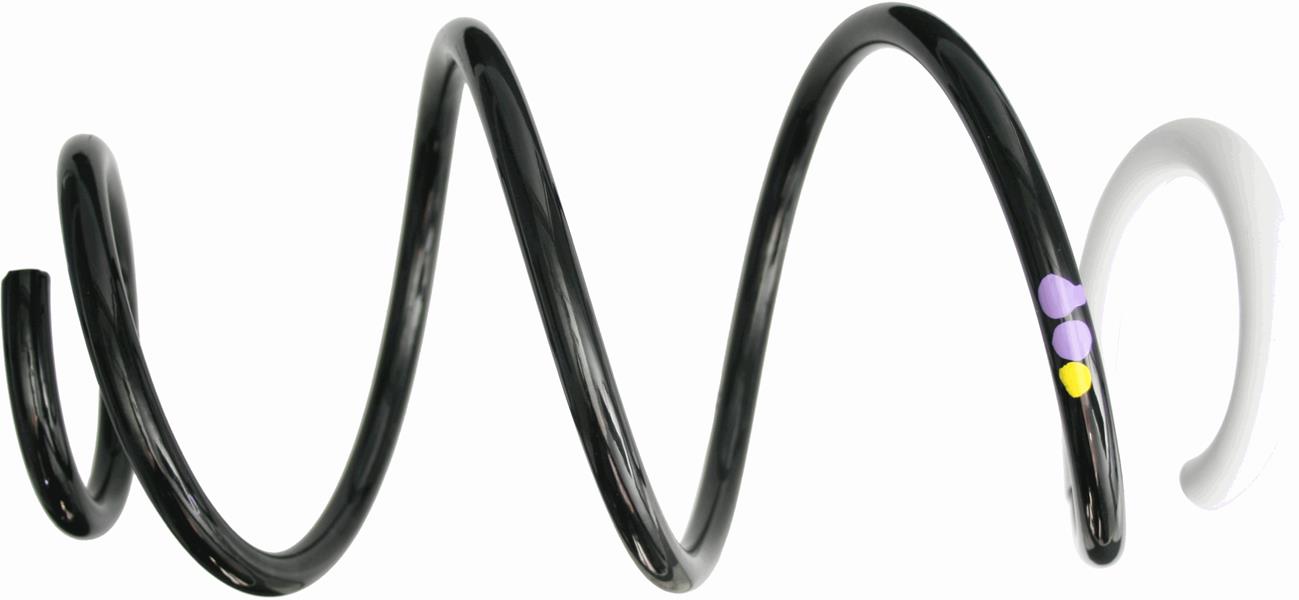 SACHS 993919 Coil Spring