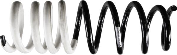SACHS 994800 Coil Spring