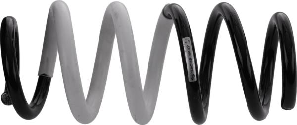 SACHS 994831 Coil Spring