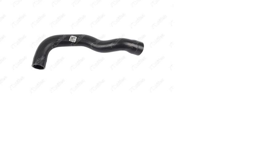 NIFEA 35064 Radyator Hortumu Alt Bmw M40 E36