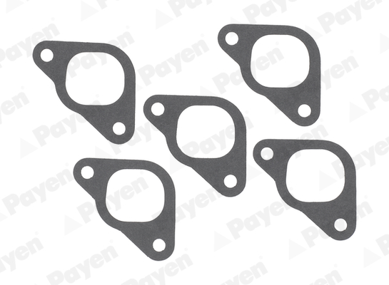 PAYEN JC928 Emme Manifold Contasi Alfa Romeo