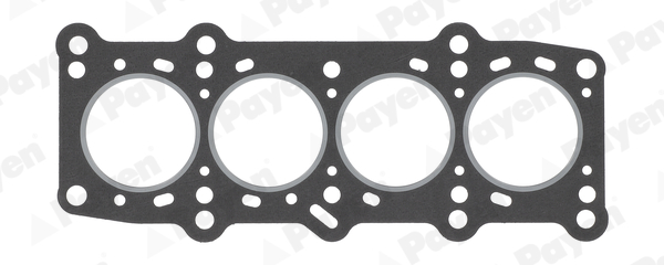 PAYEN BP660 Fiat-Pkw Silindir Kapak Contasi